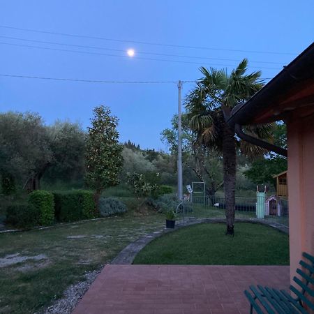 Le Coccole Del Trasimeno Konuk evi Tuoro sul Trasimeno Dış mekan fotoğraf