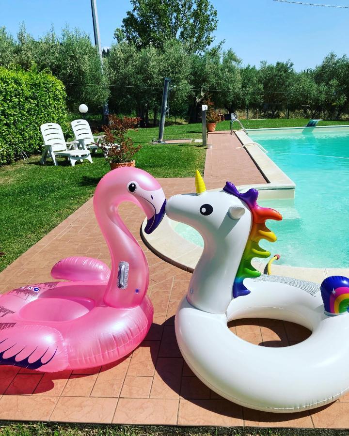 Le Coccole Del Trasimeno Konuk evi Tuoro sul Trasimeno Dış mekan fotoğraf