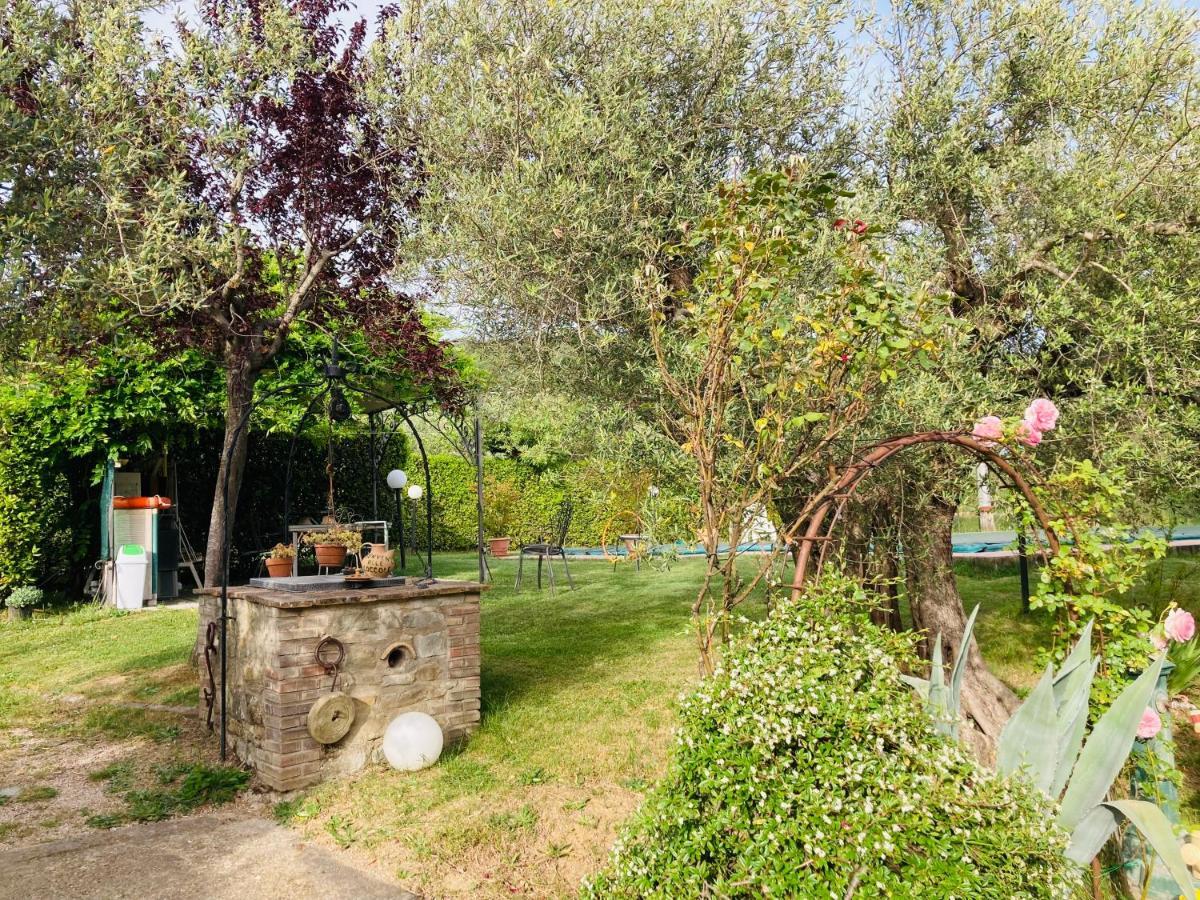 Le Coccole Del Trasimeno Konuk evi Tuoro sul Trasimeno Dış mekan fotoğraf