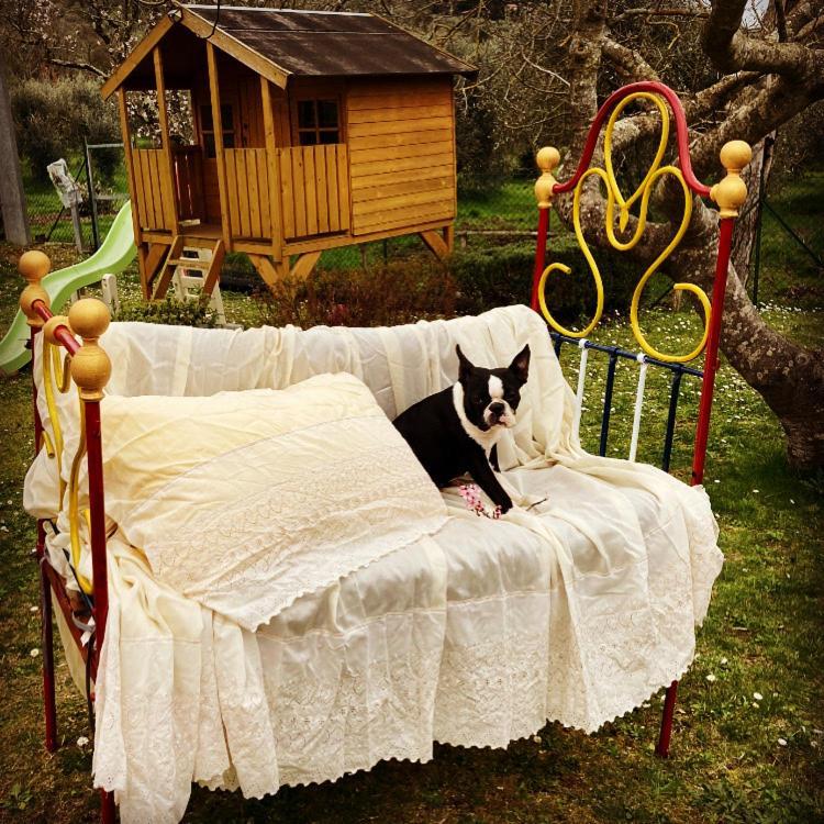 Le Coccole Del Trasimeno Konuk evi Tuoro sul Trasimeno Dış mekan fotoğraf