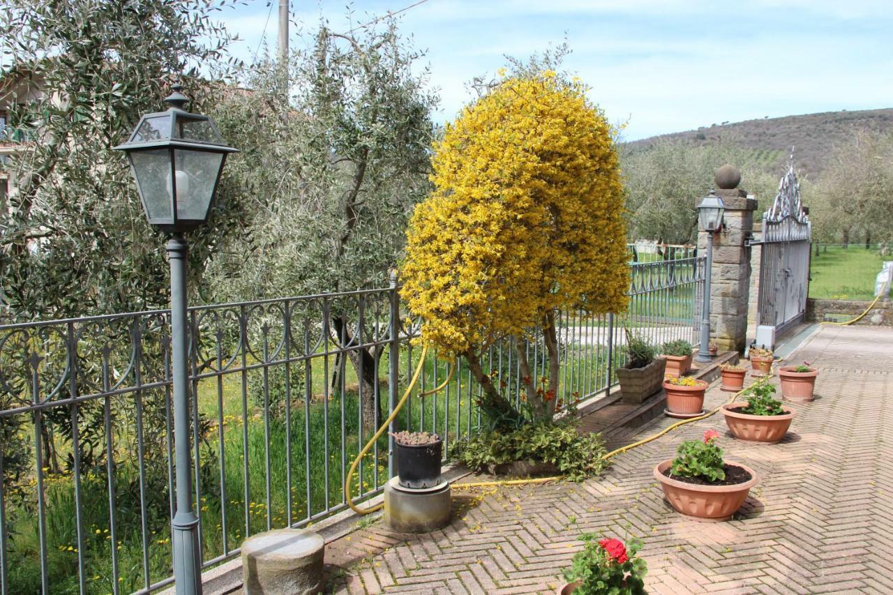 Le Coccole Del Trasimeno Konuk evi Tuoro sul Trasimeno Dış mekan fotoğraf
