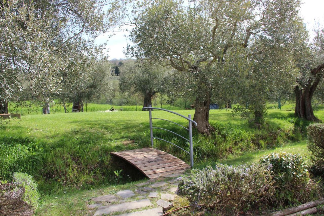 Le Coccole Del Trasimeno Konuk evi Tuoro sul Trasimeno Dış mekan fotoğraf