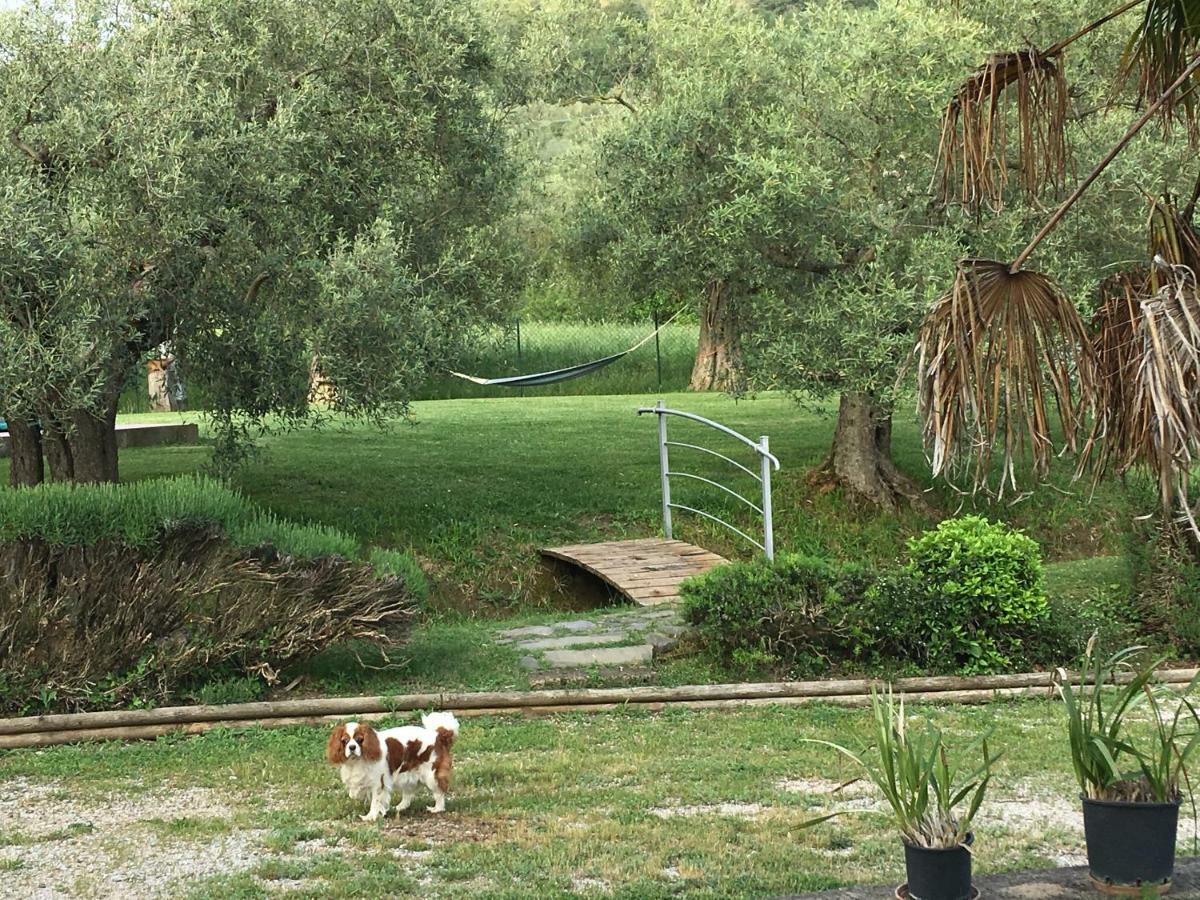 Le Coccole Del Trasimeno Konuk evi Tuoro sul Trasimeno Dış mekan fotoğraf