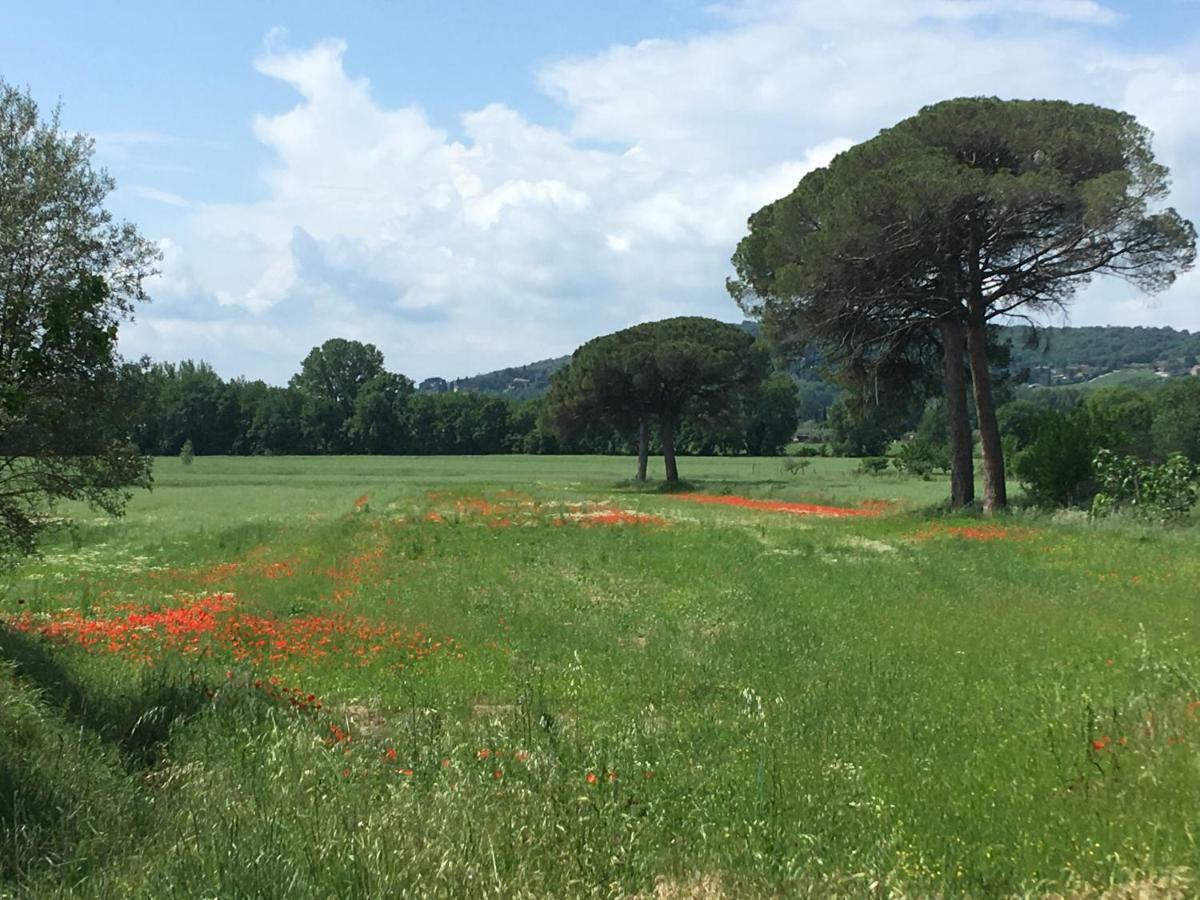 Le Coccole Del Trasimeno Konuk evi Tuoro sul Trasimeno Dış mekan fotoğraf