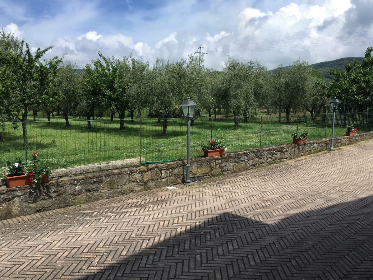 Le Coccole Del Trasimeno Konuk evi Tuoro sul Trasimeno Dış mekan fotoğraf